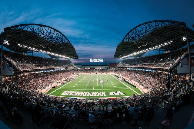 使他们的球 使他们的球