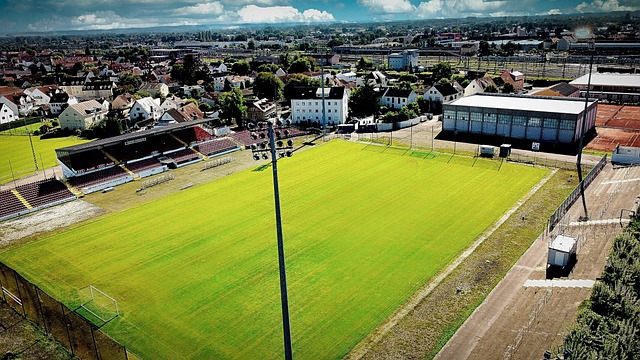 纷在社交媒 纷在社交媒