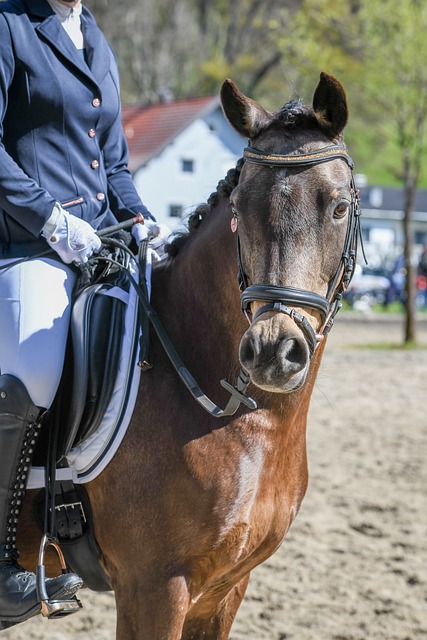 仅体现了球 仅体现了球