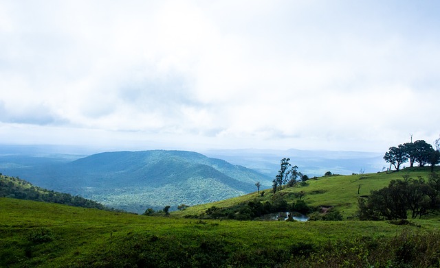 套合适的方 套合适的方