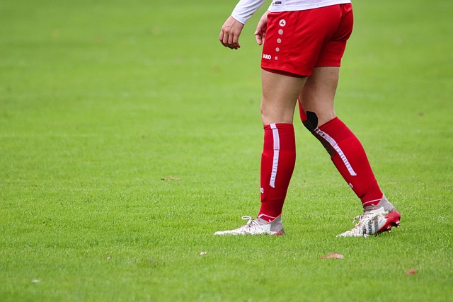 队在西部赛 队在西部赛