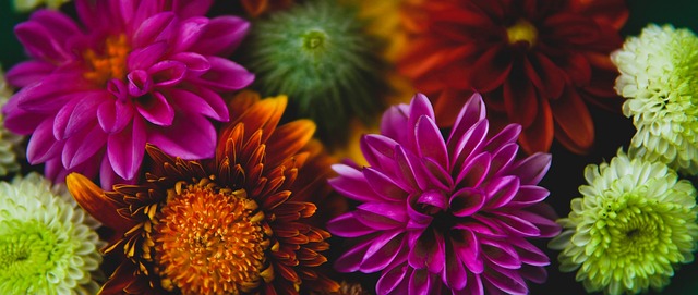 了有效的限 了有效的限