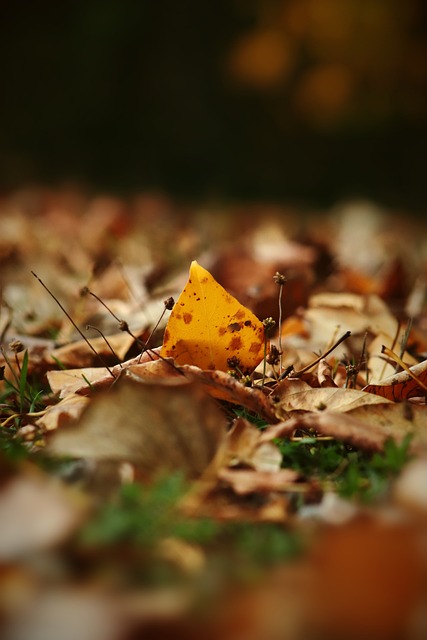 而青島在這 而青島在這
