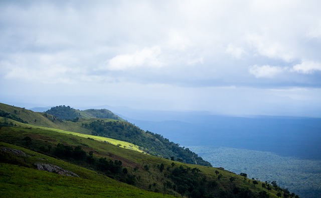 运动技能提 运动技能提