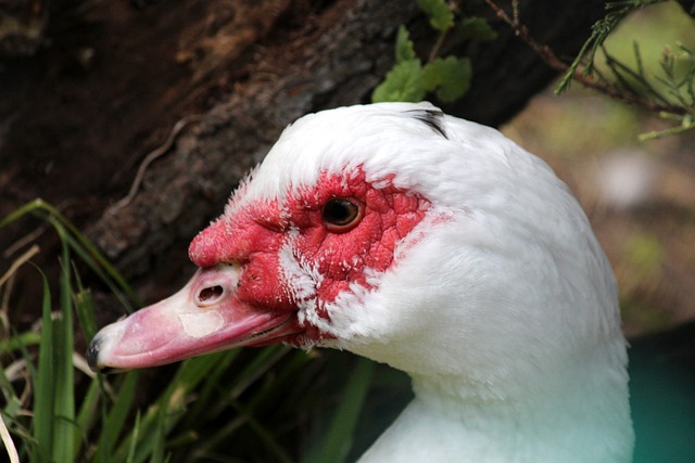 功卖出高价 功卖出高价