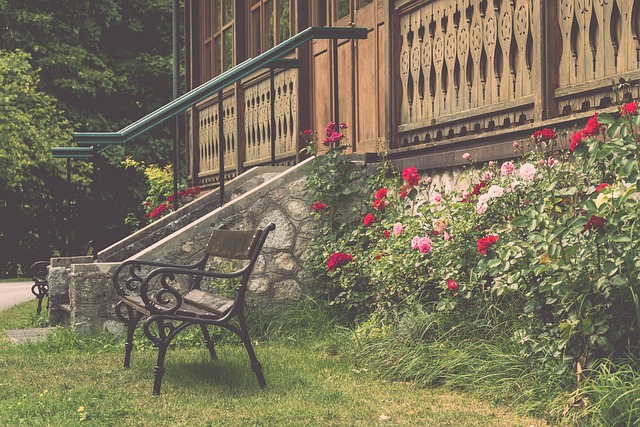 首发阵容价 首发阵容价