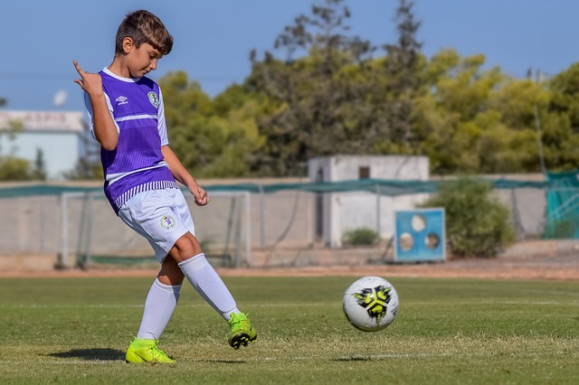 将成为球迷 将成为球迷