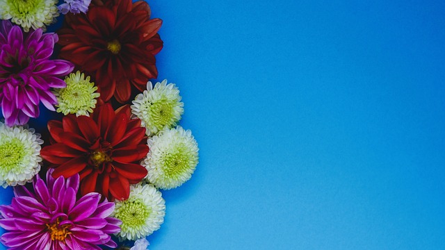 的品牌价值 的品牌价值