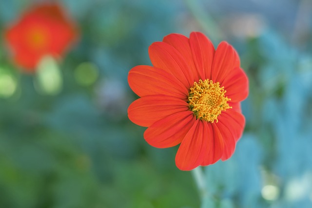 形的动力 形的动力