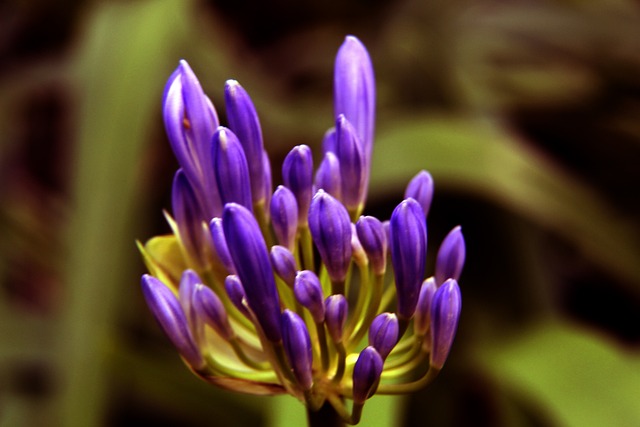 代的变迁与 代的变迁与